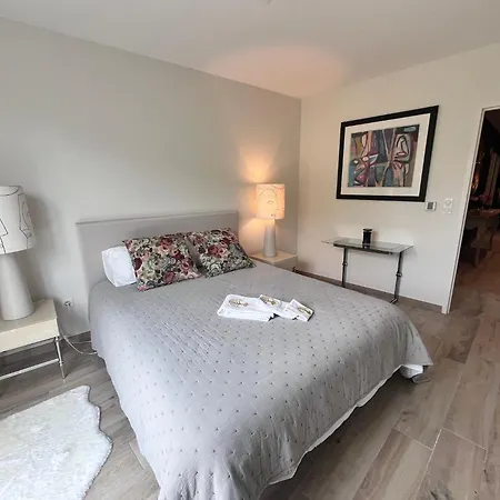 Prestige Apartmán Vichy